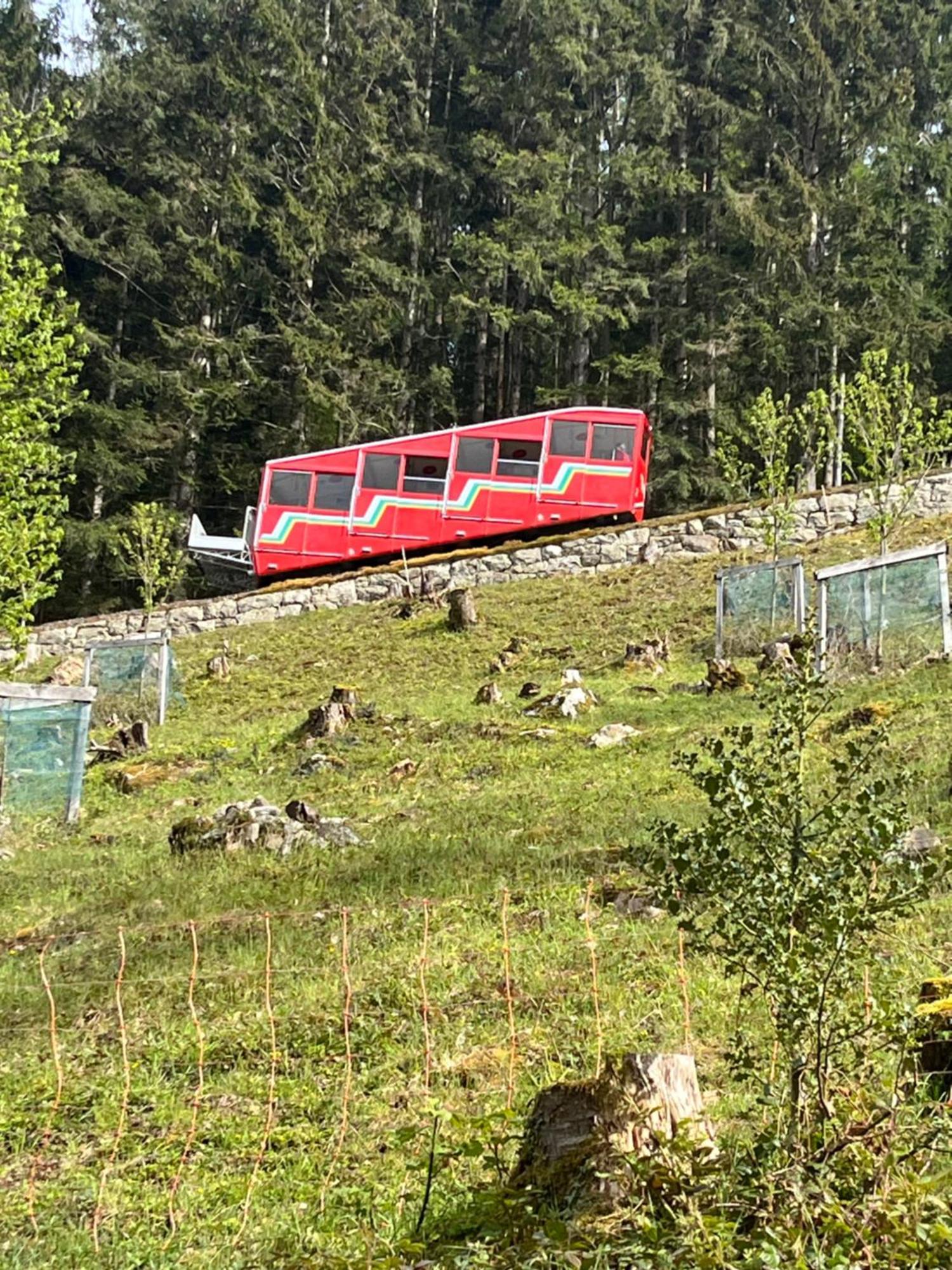 Appartement Seelewaermerli - Balsam Fuer Ihre Seele Seelisberg Exterior foto